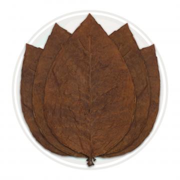 Indonesian Bezuki Cigar Wrapper Whole Tobacco Leaf